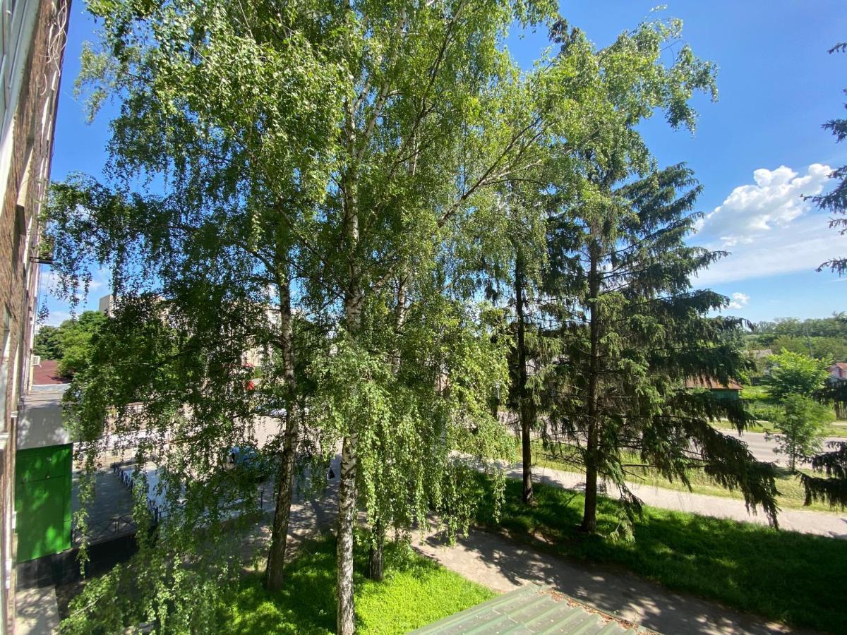 В Самом Центре Myrhorod Zewnętrze zdjęcie